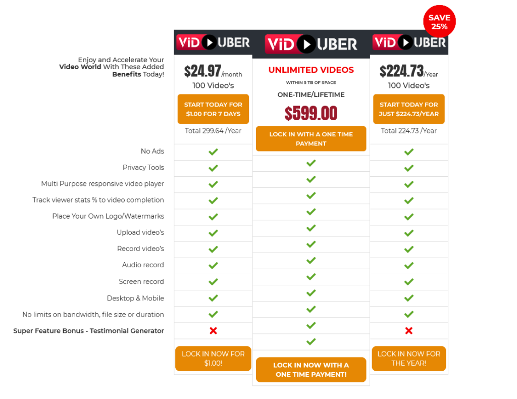 Viduber video hosting pricing for all packages